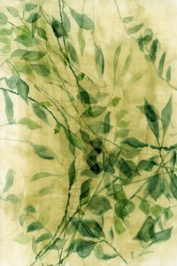 緑の水彩画の葉 作： cartissi