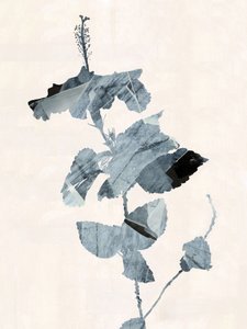 ハイビスカスの花 抽象画 作： cartissi