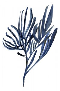 インディゴ・ボタニカル・ブランチズ 作： cartissi