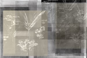 重層的な植物の抽象表現 作： cartissi