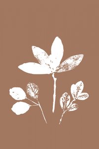対照的な葉 作： cartissi