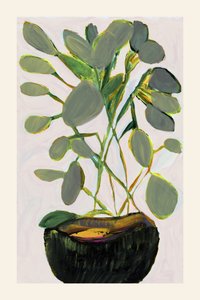 青々とした観葉植物