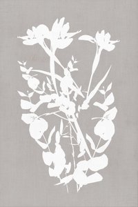 モダンな植物のシルエット 作： cartissi