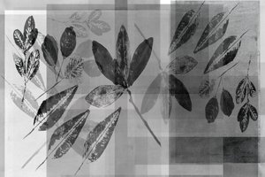 モノクロの植物のレイヤー 作： cartissi