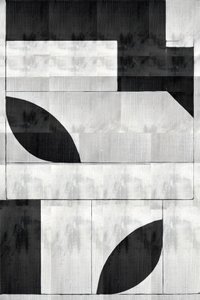 モノクロの有機的な形状 作： 