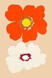 オレンジと白の花