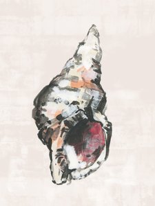 彩色された海岸の貝殻 作： cartissi