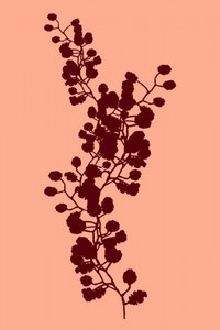 ピーチの植物シルエット 作： cartissi
