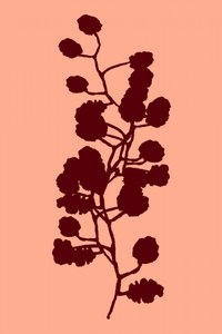 ピーチの植物シルエット 作： cartissi