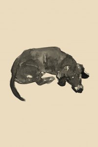  作： 