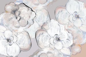 柔らかな白い花 作： cartissi