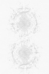 ほのかなグレーの輝き 作： cartissi