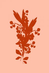テラコッタの花のシルエット 作： cartissi