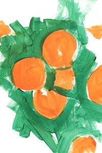 鮮やかなオレンジ色の果実 作： cartissi