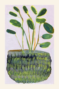 色鮮やかな鉢植え