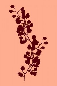 温かみのある植物のシルエット 作： cartissi
