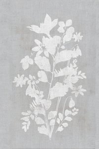白い花のシルエット 作： cartissi