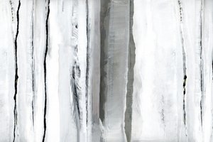 ホワイト・フォレストの抽象画