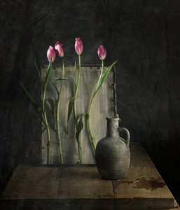  作： chenyi wang