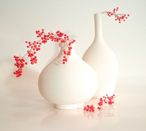 エレガントなベリーの花瓶 作： enver karanfil