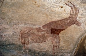 蹄のある動物、洞窟画、セファール、タッシリ・ナジェール（ユネスコ世界遺産登録