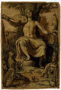 ヴァイオリンの音色で動物たちを魅了するオルフェウス。フェデリコ・ズッカーリ（1542-1609）のドローイング。 作： or Zuccaro Federico Zuccari