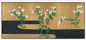 小川の菊 作： possibly by Ogata Kōrin