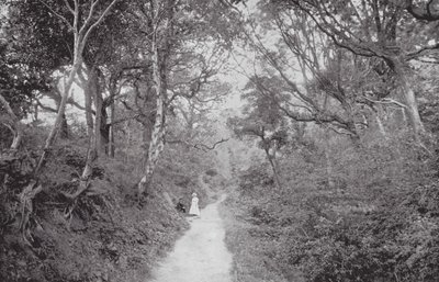 フェアライト・グレン（モノクロ写真） 作： (after) English photographer