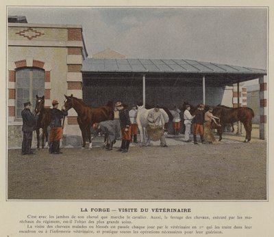 ラ・フォージ、獣医師の訪問（カラー写真 作： (after) French Photographer