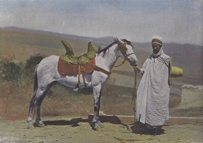 Le Cheval arabe（カラー写真 作： (after) French Photographer