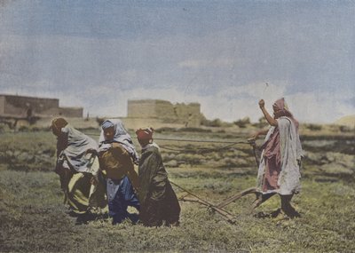 Le Labourage en Kabylie (カラー写真) 作： (after) French Photographer