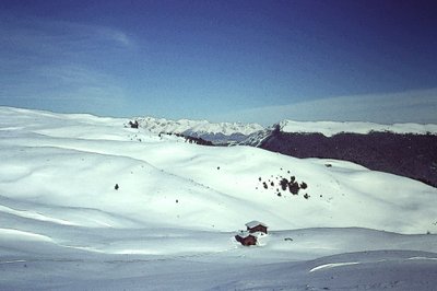 アルプスの雪 作： Detlef B. Fischer