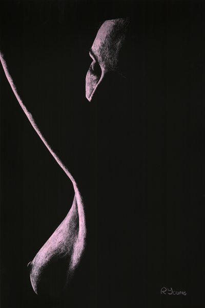 強制 作： Richard Young