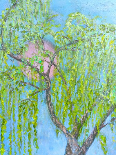 笑わない柳 作： 