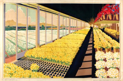 無題、シリーズ「家庭菜園のための家庭用球根」より（カラーリトグラフ） 作： A.A. Moores
