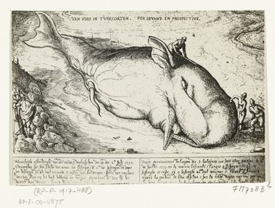 1577 年 7 月 2 日、アントワープ近郊に打ち上げられたクジラの版画 作： A.B. van Deinse