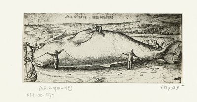 1577 年 7 月 2 日、アントワープ近郊に打ち上げられたクジラの版画 作： A.B. van Deinse