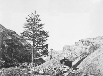 ウィルヘルミナ峠にある千マイルの木。基地には人々のグループがいて、鉄道の隣の木の頂点に一人の男がいます。 作： A.J. Russell