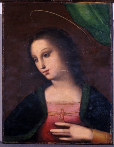 メアリーの肖像（木の上のテンペラ） 作： A. 1485 c.1525 Piccinelli