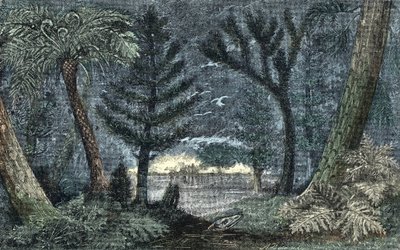 Pré-história: paisagem característica com pântano e floresta 作： A. Demarle