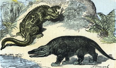 先史時代：白亜紀のイグアノドンとメガロサウルスの代表 作： A. Demarle