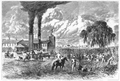 シュガープランテーション、ニューオーリンズ、1870年。 作： A. R. Ward