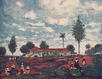コーヒー・ファゼンダ、1916 作： A. S. Forrest