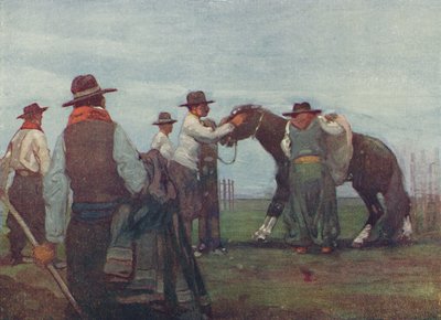 若い馬を壊すガウチョ、1916 作： A. S. Forrest