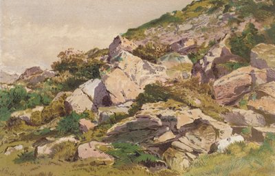 南ウェールズ、ランディロ近郊、タリアリス北側の石の研究（クロモリソ） 作： Aaron Edwin Penley