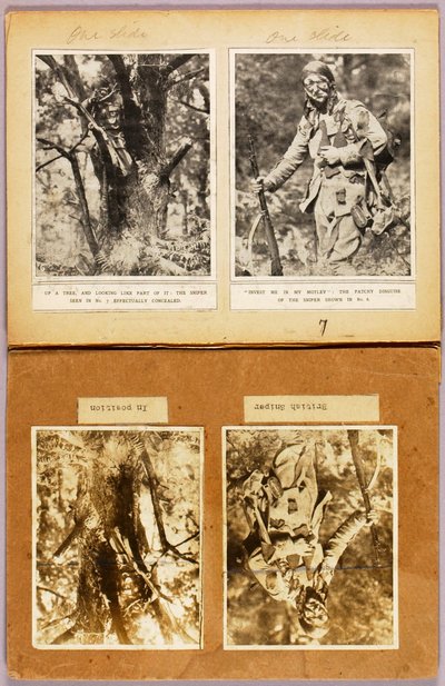 Britische Scharfschützen-Tarnung (frühe Bilder), Studienmappe für das Buch Concealing Coloration in the Animal Kingdom 作： アボット・ハンダーソン・セイヤー