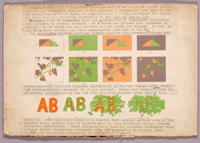 Diagramm und Kupferkopfschlange, Studienmappe für das Buch Concealing Coloration in the Animal Kingdom 作： アボット・ハンダーソン・セイヤー