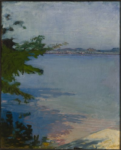 ダブリン池、ニューハンプシャー州、1894 年。 作： Abbott Handerson Thayer