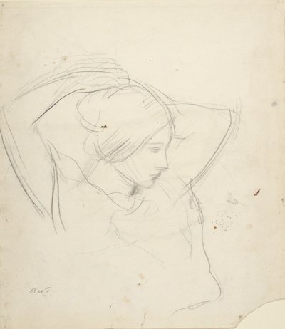  作： Abbott Handerson Thayer