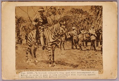 馬と巡洋艦のカモフラージュ、『動物界の色彩を隠す』の学習用フォルダ 作： Abbott Handerson Thayer